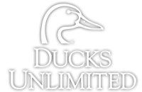 Ducks Unlimited Website Logo for .NET Development Project Case Study with IowaComputerGurus ICG